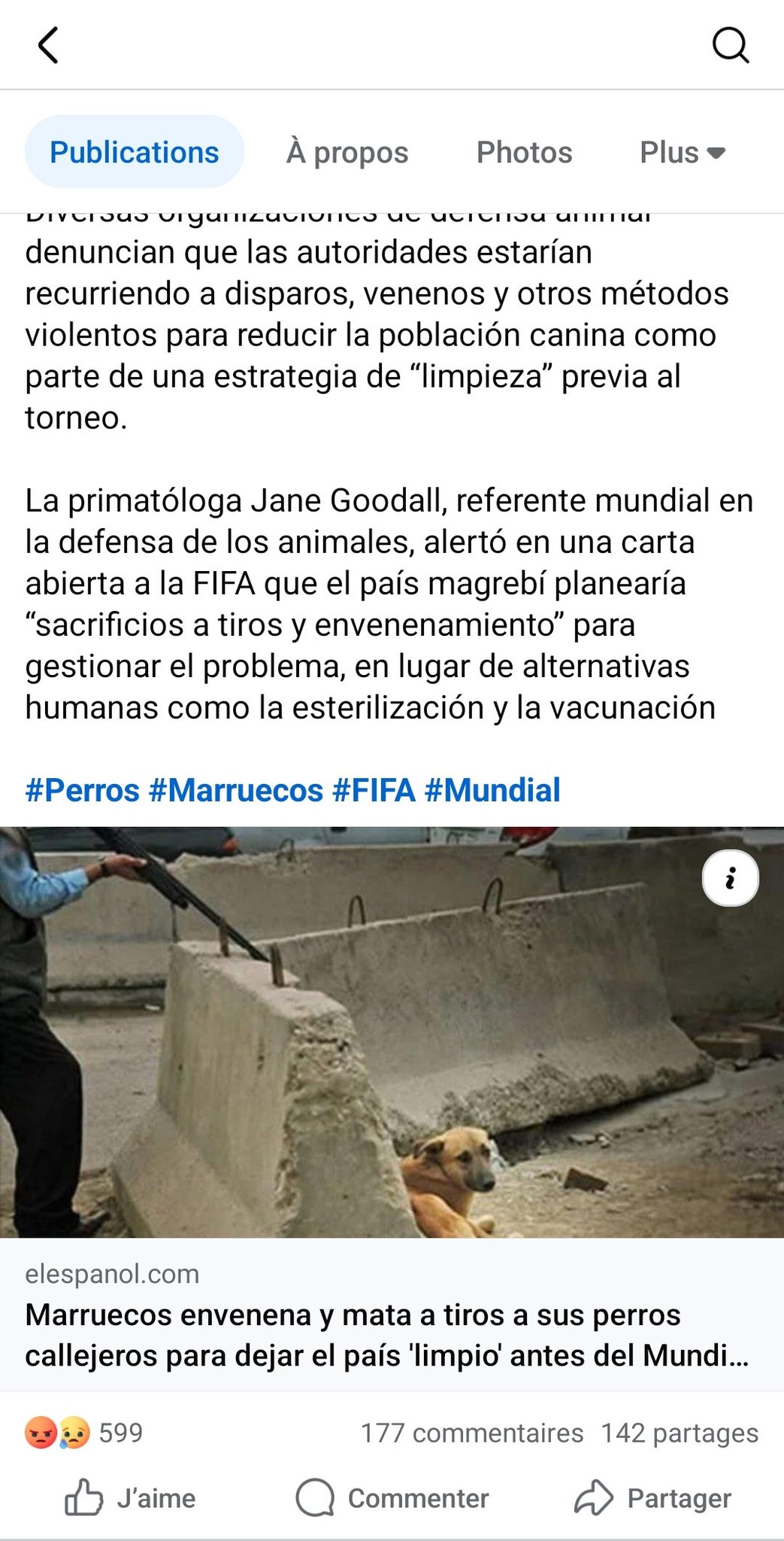 Maroc développement rapide vs protection animale - Pet&Me