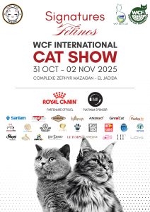 🐾 Pet&Me au Cat Show 2025 – Maroc