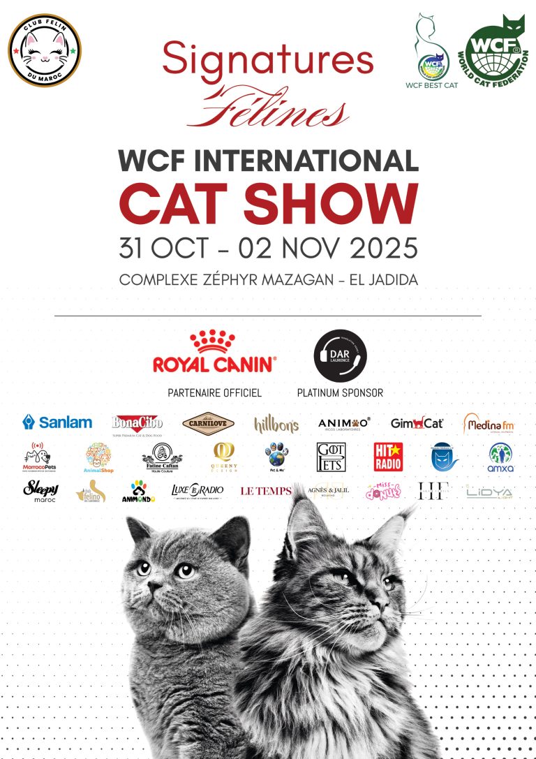 Pet&Me au Cat Show 2025 - El Jadida, Maroc, innovation pour le bien-être animal